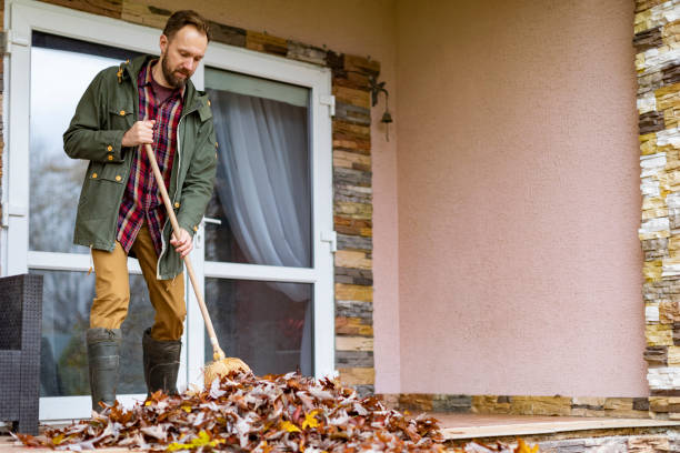 Best Dumpster Rental Services  in North Judson, IN